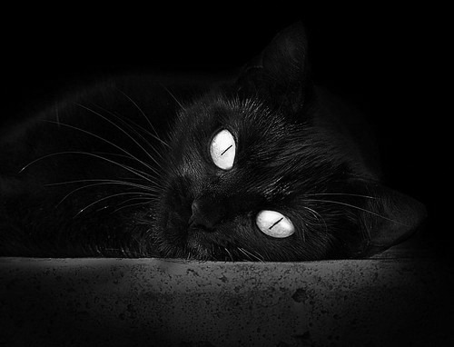 另一种红土，辛纳在蒙特卡洛的荆棘与火焰