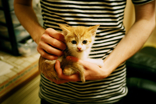 马德里不相信眼泪,但相信奇迹,一场跨越现实的足球史诗