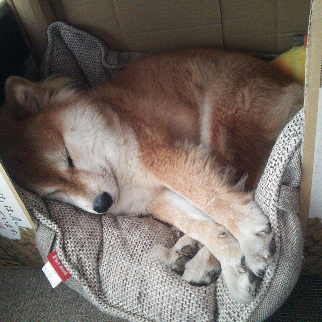 撕裂之城的新图腾，拉文以一己之力改写骑士命运