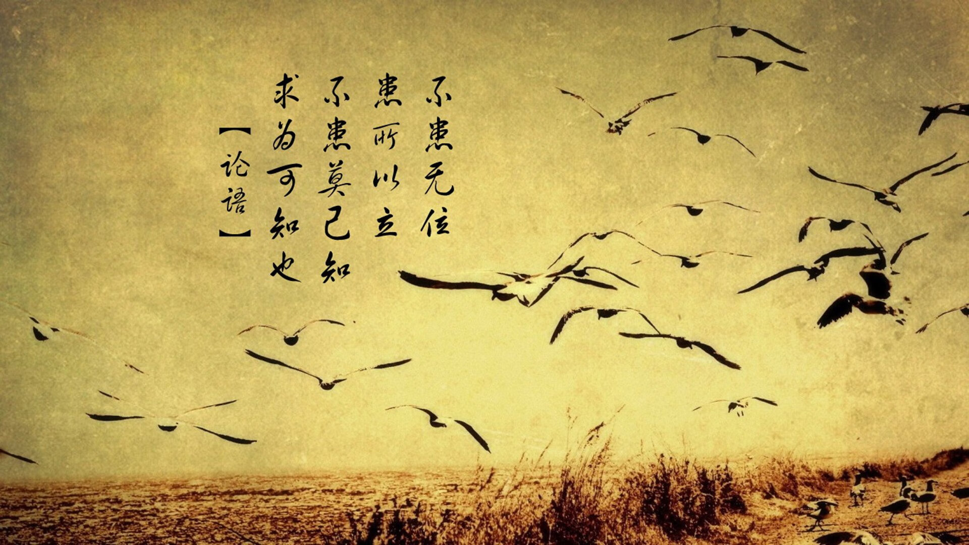 独一份的统治，戈贝尔在焦点之夜诠释何为无法复制