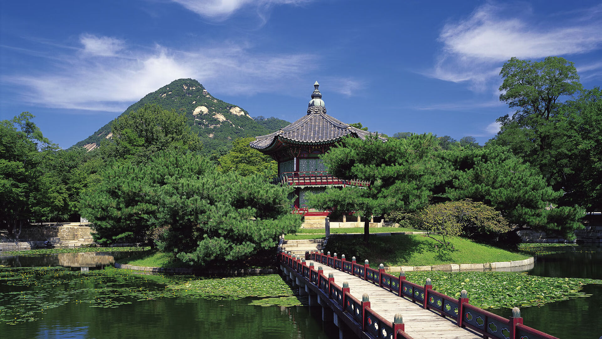 从CBA到世界杯，吉林队击溃深圳队后，马克西在2026年接管比赛