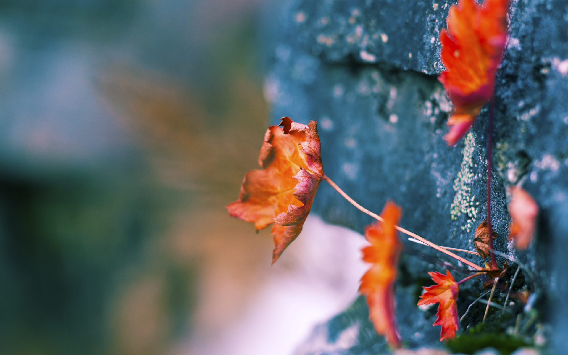 跨界风暴,当英超争冠悬念投射在东方赛场