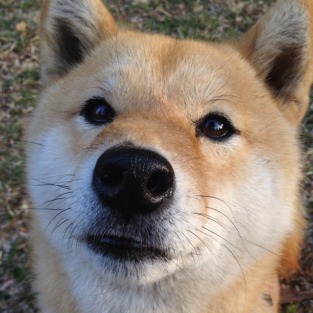 达拉斯之矛与亚特兰大之盾，一场提前上演的东决抢七