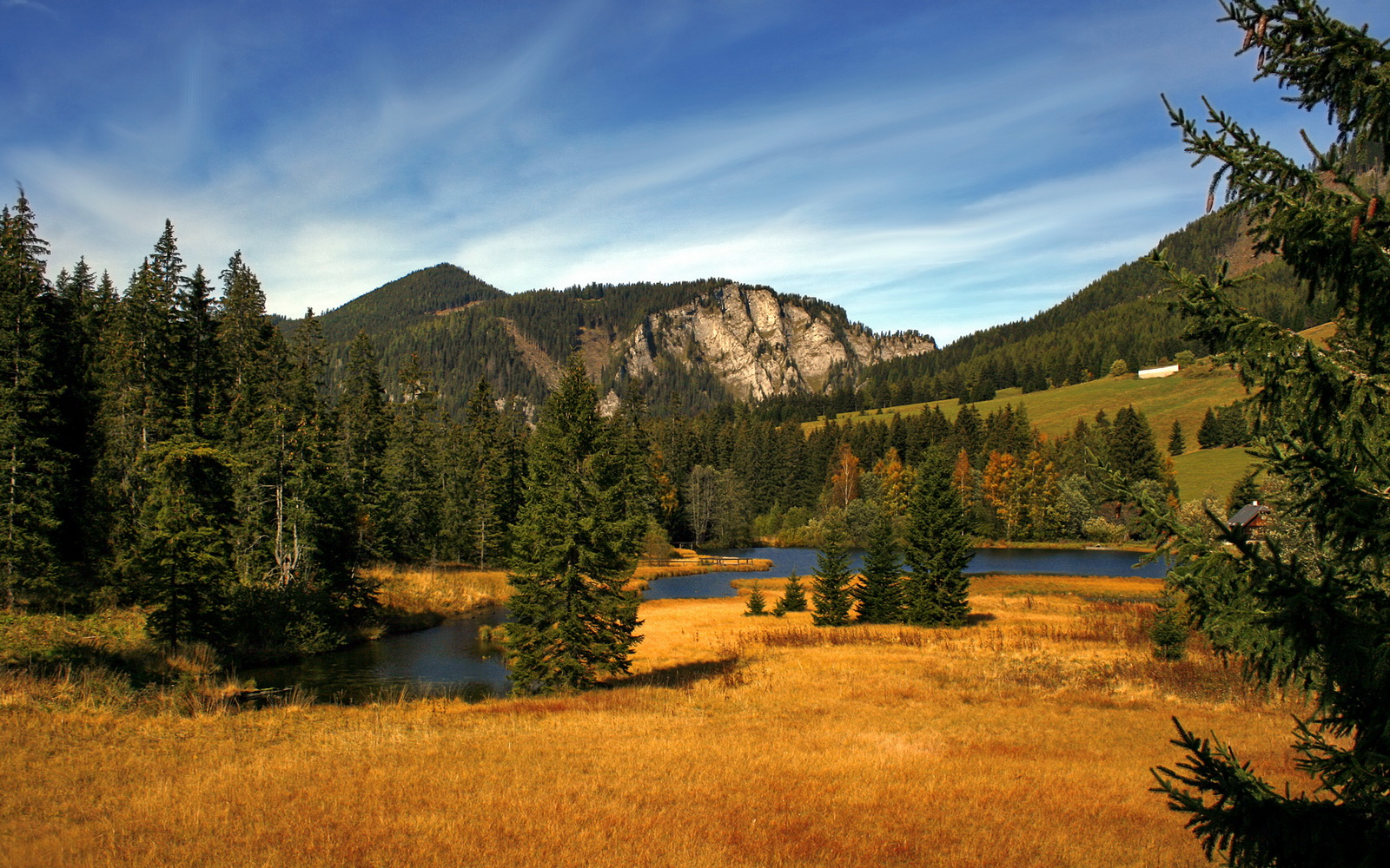 亚特兰大救赎夜，若日尼奥点杀旧梦，巴西终迎归乡逆子