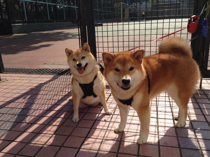 篮球宇宙的交汇点，当山西队带走辽宁队映射出伦纳德式的关键先生法则