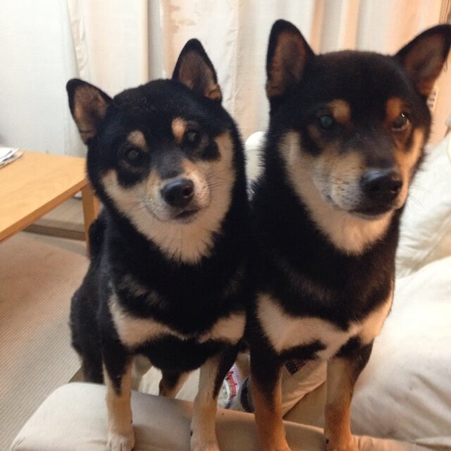 爱游戏娱乐-奥利维耶·雷恩，关键战不手软，历史性打穿丹麦防线开创先河