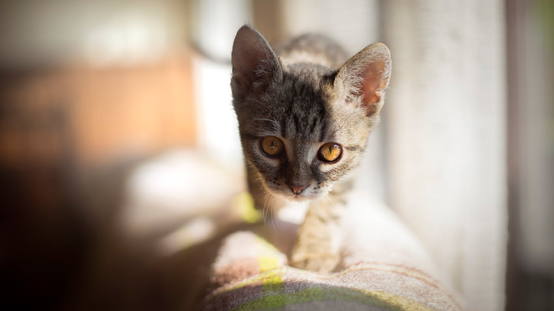 冰与火的对决，杜兰特一锤定音，骑士压哨绝杀点燃寒冬