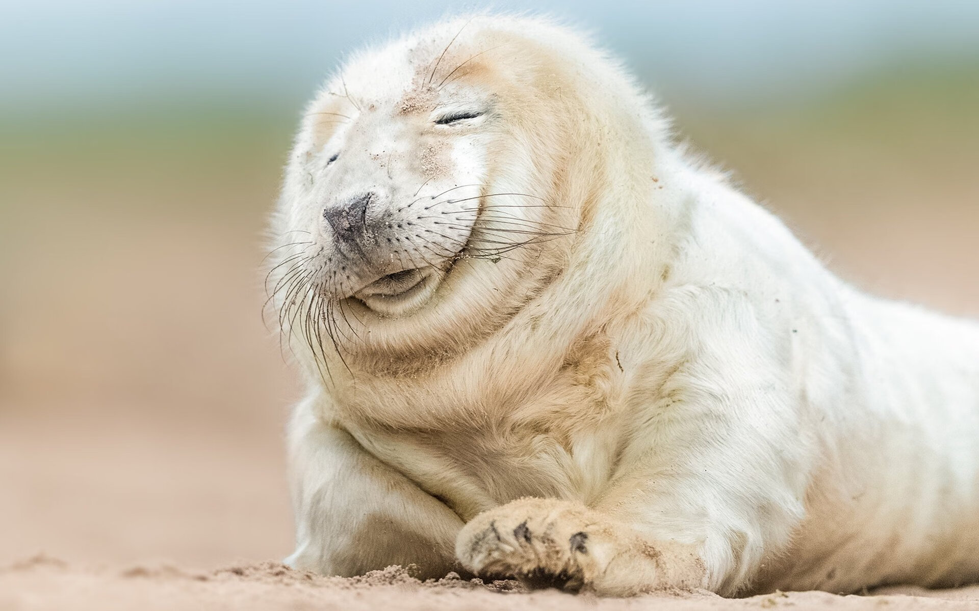 爱游戏APP-猛龙利爪撕裂体系，东方巨龙压制西方神话，西亚卡姆主宰比赛走向，辽宁队强压勇士