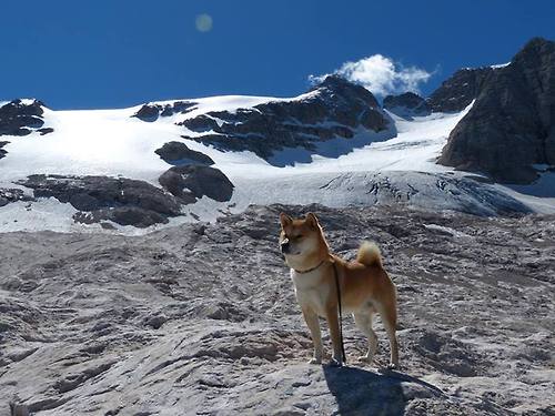爱游戏娱乐-双城记，深圳骑士的绝杀与巴塞罗那的跨界统治