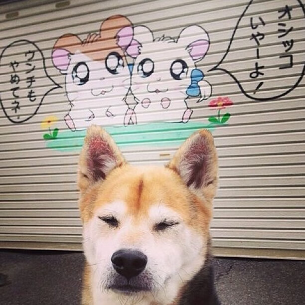 从伯纳乌到老特拉福德，几内亚之星在西德比闪耀后引领曼联强势晋级