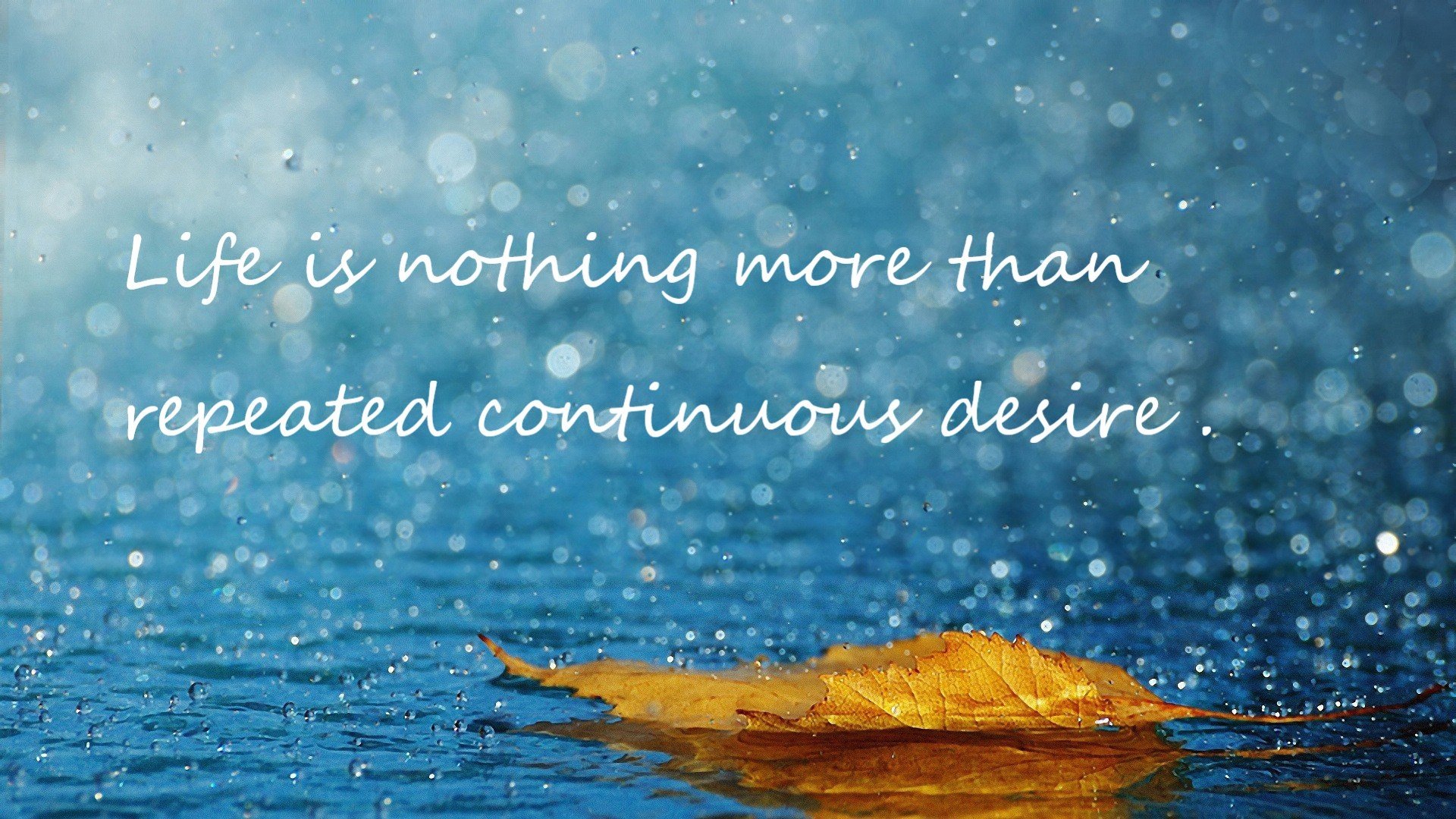 最意外的救世主！文班亚马死亡封盖库里，一球定乾坤改写快船命运