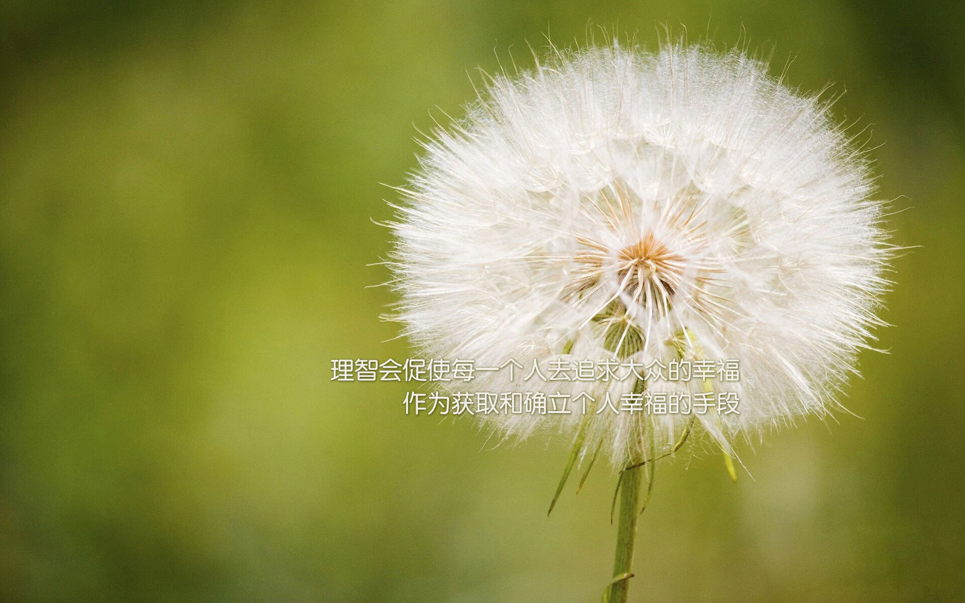 孤勇者的绝唱,2026世界杯D组焦点战,罗马尼亚力克葡萄牙,C罗主导了一场悲壮的告别