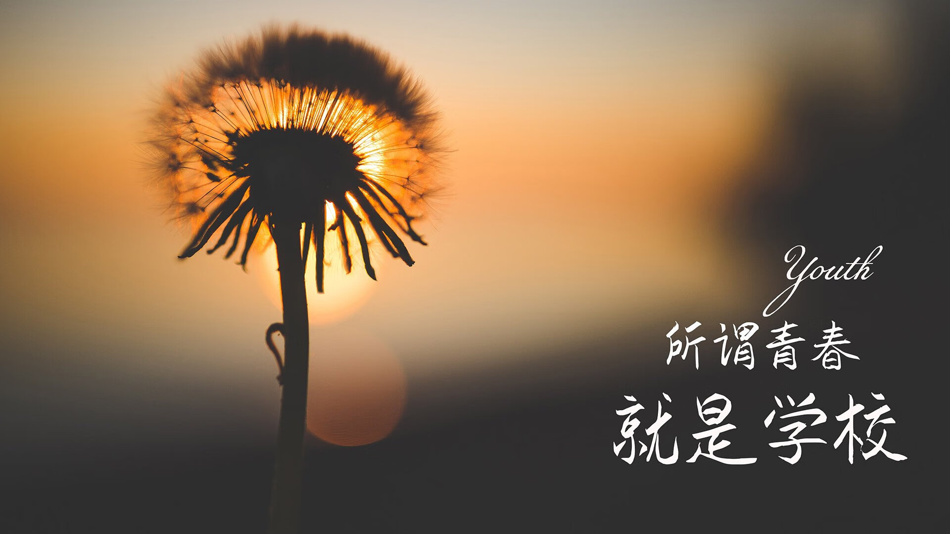 爱游戏下载-一球定乾坤，2026世界杯F组，比利时钢铁防线压制泰国，阿方索·戴维斯独舞成唯一焦点