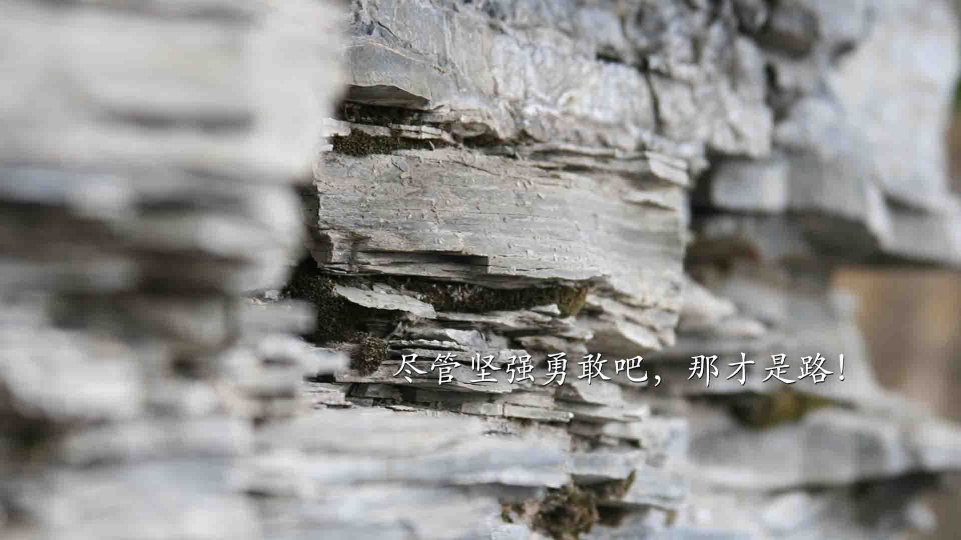 爱游戏在线-疾风骤雨，唯快不破，拉什福德闪电战撕裂北欧防线，英格兰用节奏定义碾压